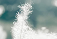 上海别墅私享空间：后花园美景鉴赏